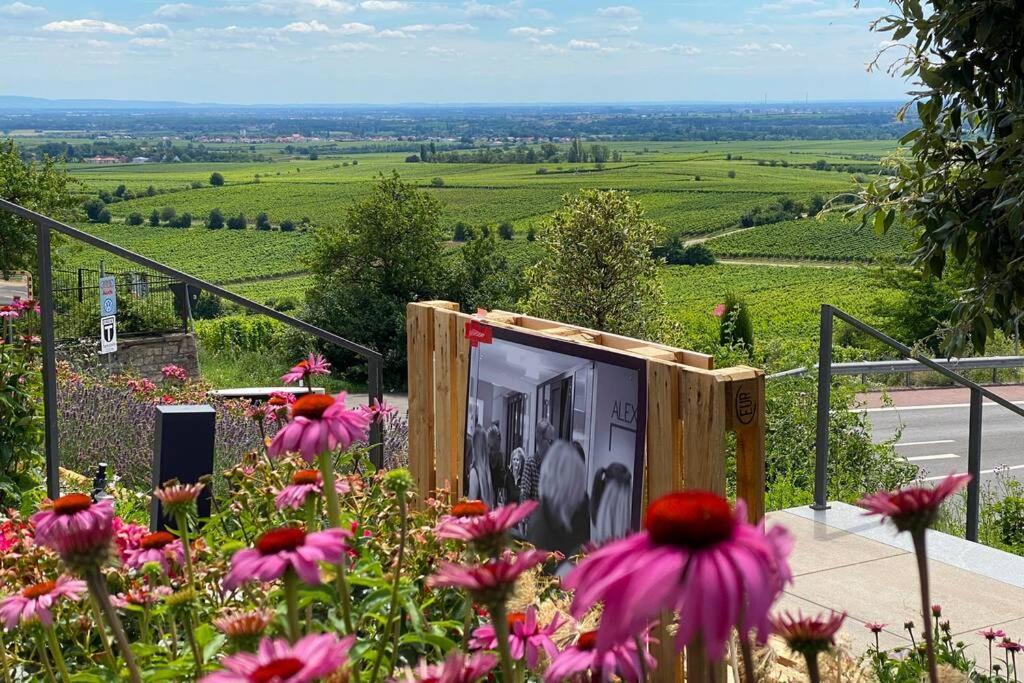 Ruhe und Entspannung Erpolzheim Exterior foto